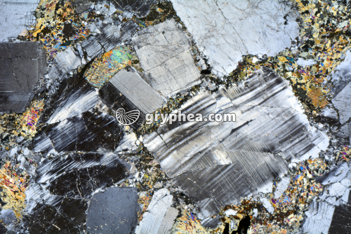 Métagabbro à hornblende LPA x3,5 - gryphea.com